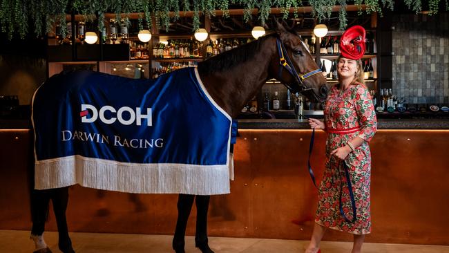 A racehorse visits new bar Sweethearts ahead of the 2024 Darwin Cup Carnival.