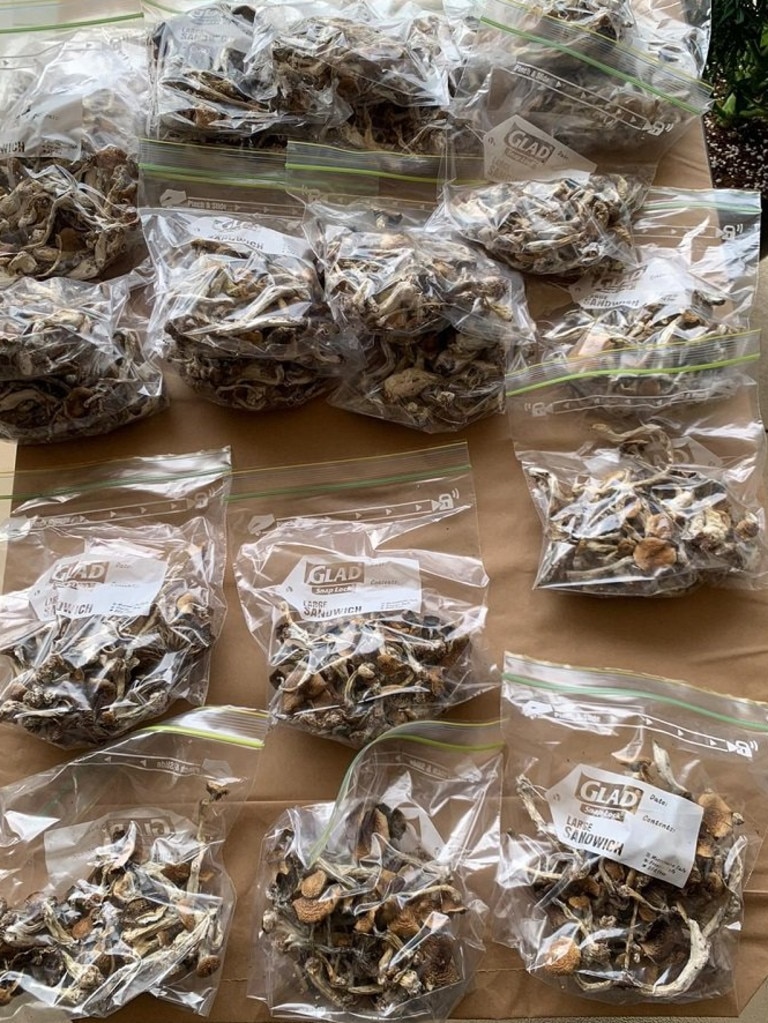 Suspected hallucinogenic mushrooms seized by WA NAGS investigators. Picture: AFP