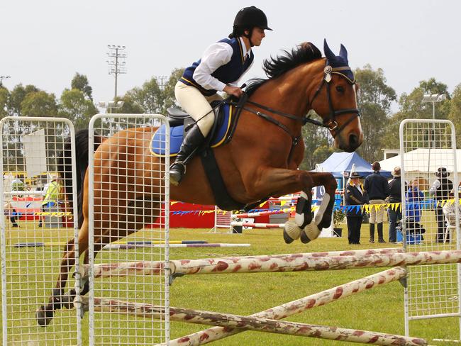 This year will see the Gold Coast Show reintroduce a full equestrian program at Owen Park and Southport Pony Club.