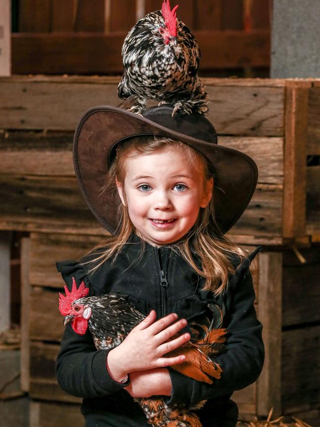 There will be plenty of farm animals for kids to get up and close with. Picture: Tim Carrafa