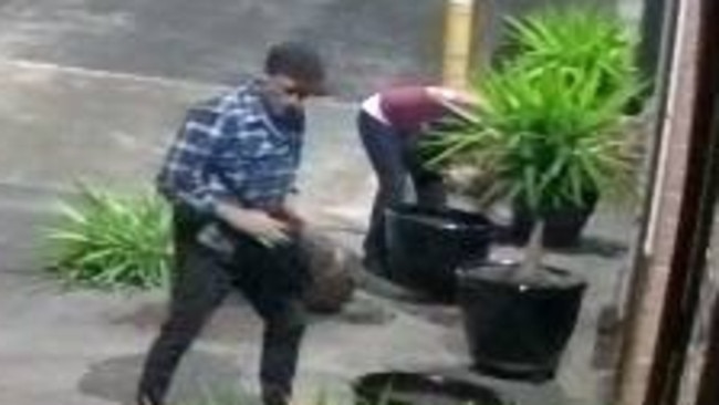 Stills from CCTV footage of two thieves making off with large pot plants out the front of Julie's Place at North Gosford. Picture: Facebook