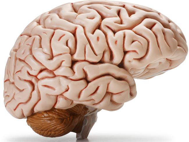 A new study shows that mild Covid-19 is likely to have "significant" long-term effects on the brain. Picture: istock