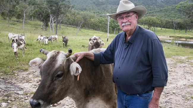 Warren Entsch on the Atherton Tablelands with cows Elle-May and Riba and his miniature donkeys. Picture: Brian Cassey