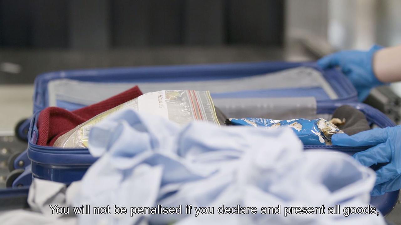 International passengers are played a biosecurity message via video or audio that explains you will be penalised if you declare certain foods and ingredients.