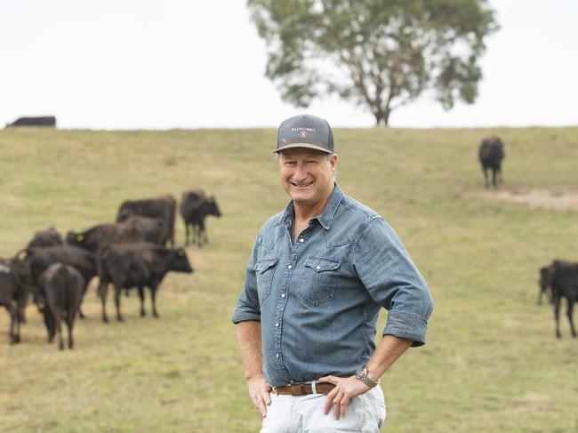 Stephen Gibbons on his Wagyu farm. Picture: Zoe Phillips