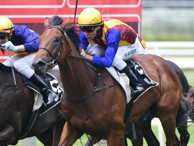 A couple of Melbourne Cup winners combined for the win of two-year-old filly Idyllic Affair at Doomben on Saturday. Picture: Natasha Wood, Trackside Photography.,