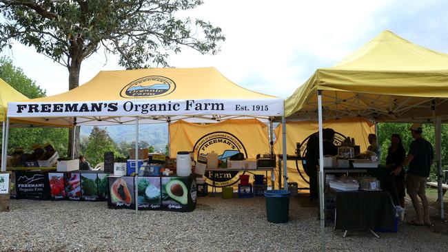 The Freeman banana farm in Currumbin Valley has been running for nearly 100 years. The family also run the Freeman's Fruit Stall on Tomewin Mountain. Picture by Scott Fletcher