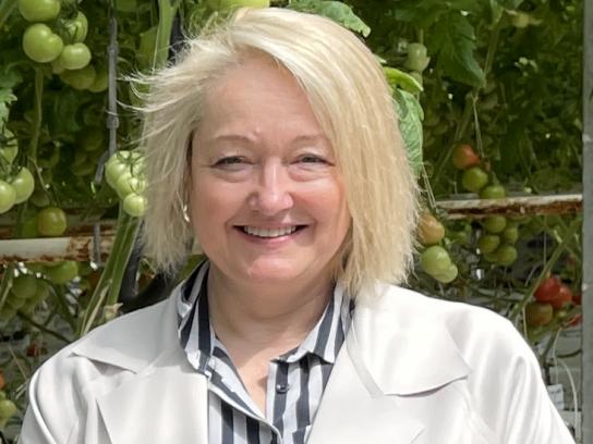 Mortlock Hydroponics owner Ian Mortlock with Ripon MP and Regional Recovery Shadow Minister Louise Staley at the Carisbrook property. Picture: Contributed