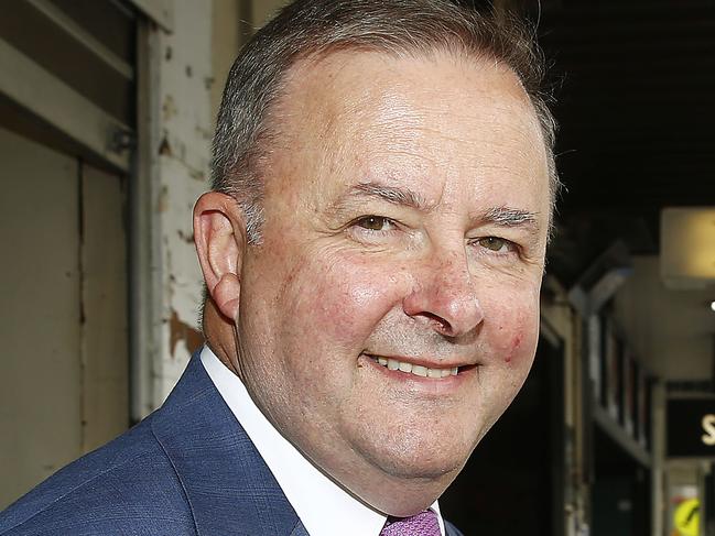 Federal member for Grayndler Anthony Albanese in Balmain. Picture: John Appleyard