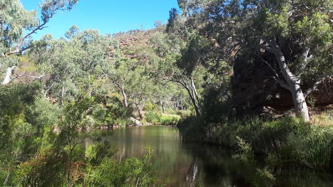 Onkaparinga Conservation Park — Gorge Hike. Picture: Michelle Etheridge