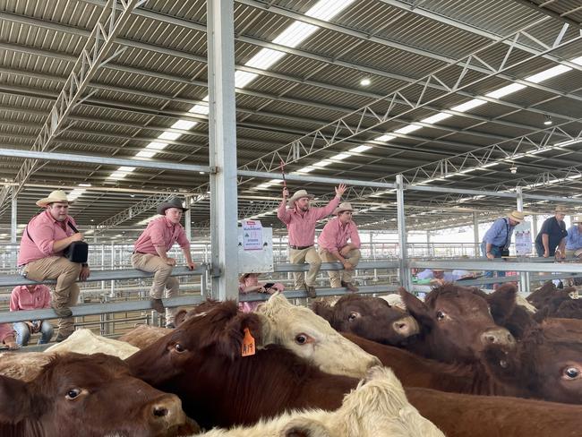 Elders agents field bids at the Ballarat grown and weaner steer sale. Picture: Petra Oates