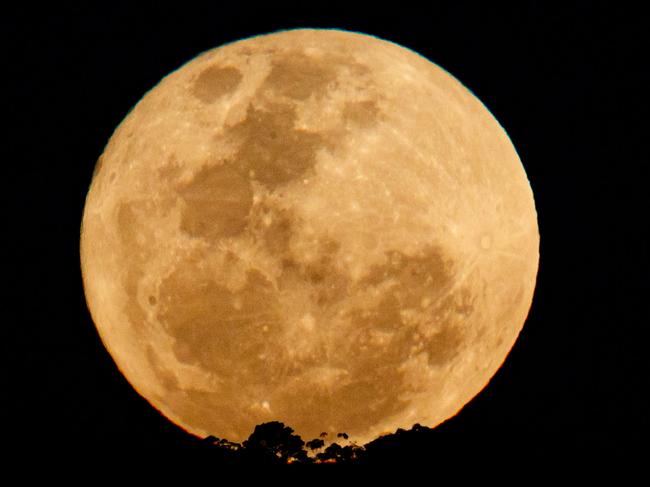 A trick of the eye known as the ‘moon illusion’. makes the Harvest Moon appear even larger than it is. Picture: Matt Turner