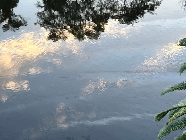 A concerned resident noticed an oil slick on the Georges River while crossing the light horse bridge in Liverpool. Pictured: Supplied