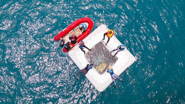 Marine biologists check the development of coral larvae at specially designed pools situated on Agincourt Reef. Photo: Supplied.