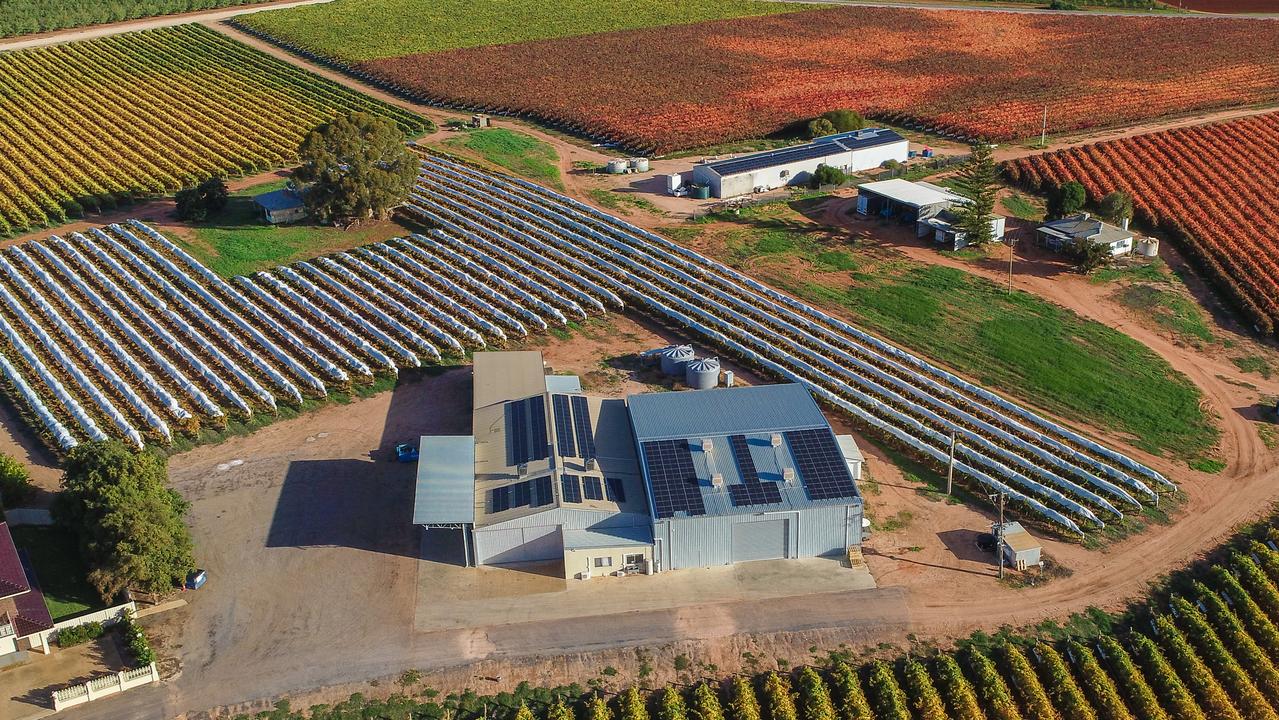 The 54ha Red Cliffs table grape farm was sold in a $9 million walk-in walk-out deal.