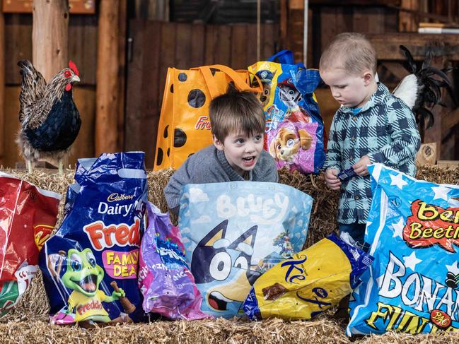 ADELAIDE, AUSTRALIA - NewsWire Photos 11th August, 2023:  Alfie (4) and Jacob (2) getting excited with show bags at the Adelaide Royal Show. Picture: NCA NewsWire / Kelly Barnes