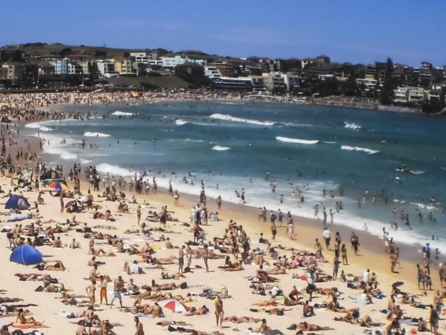 People relaxing at bondi beach on a sunny day