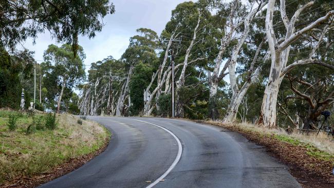 The camber of the bend on Montacute Road at the scene of a fatal accident near Maryvale road in Athelstone. Picture: Brenton Edwards