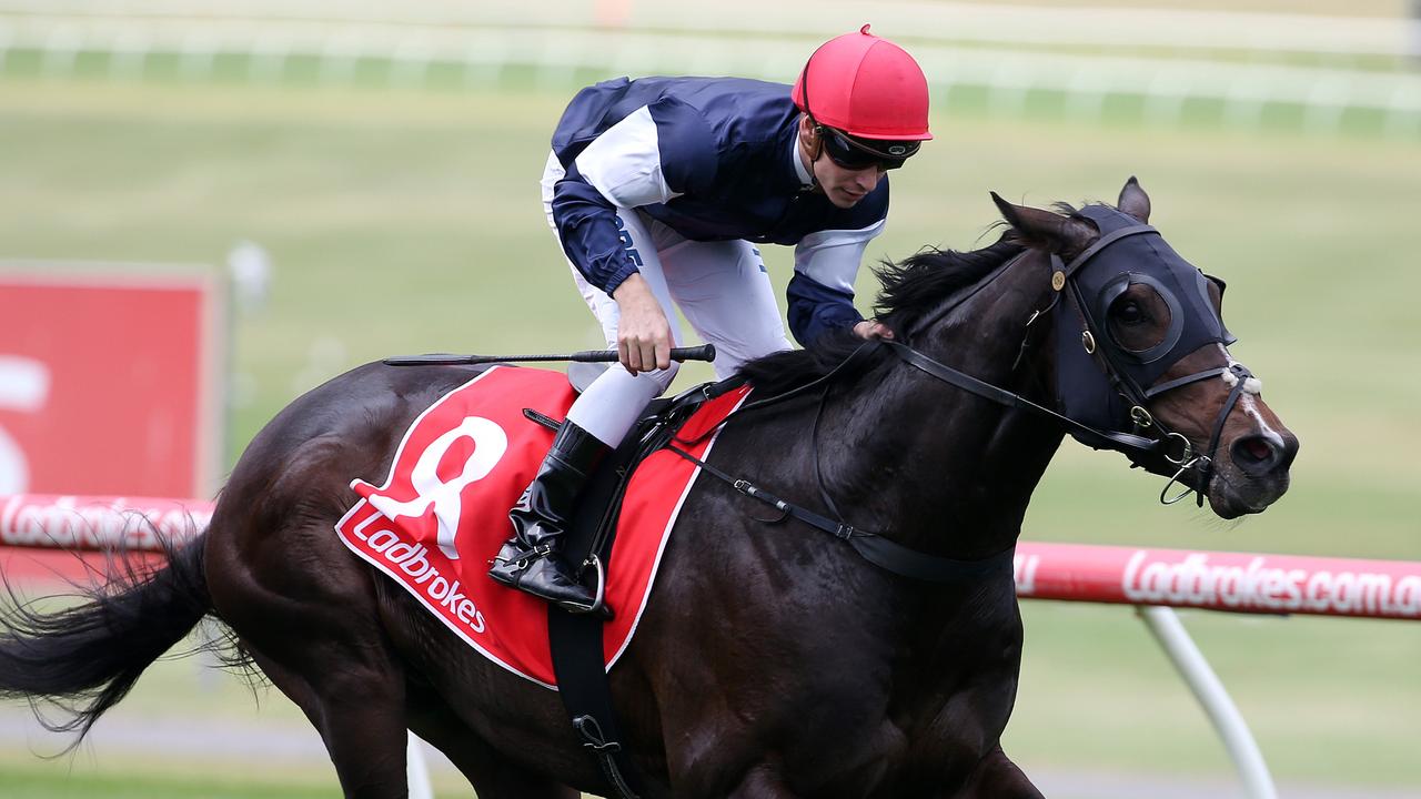 Moonee Valley races: Michael Manley’s horses to watch this weekend ...