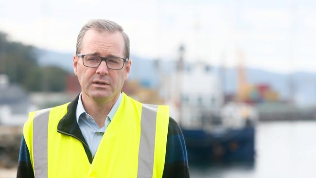 Minister for State Growth Michael Ferguson. Picture: PATRICK GEE