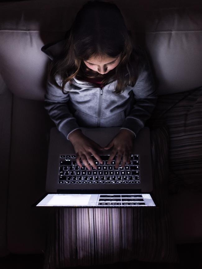 Parental supervision for children is vital in the new cyber world, Susan McLean says.