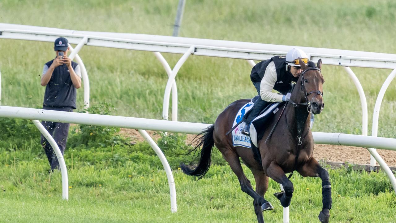 Kerrin McEvoy onboard Deauville Legend during trackwork at Werribee Racecourse on October 25, 2022 in Werribee, Australia. (Jay Town/Racing Photos via Getty Images)