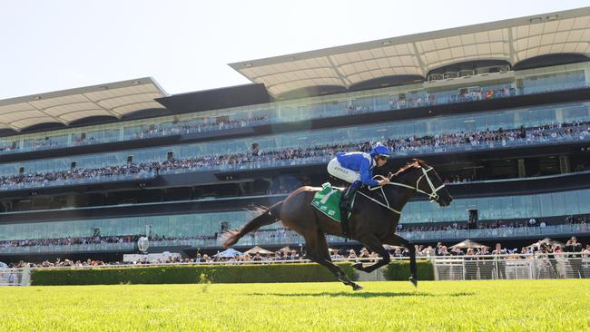 Daylight was second as Winx stormed to her 16th Group 1 win on Saturday at Royal Randwick. Picture: Simon Bullard