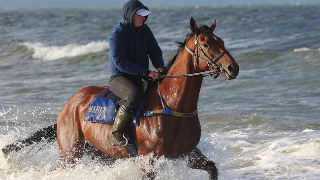 Melbourne Cup Day Preview With Ray Hickson 