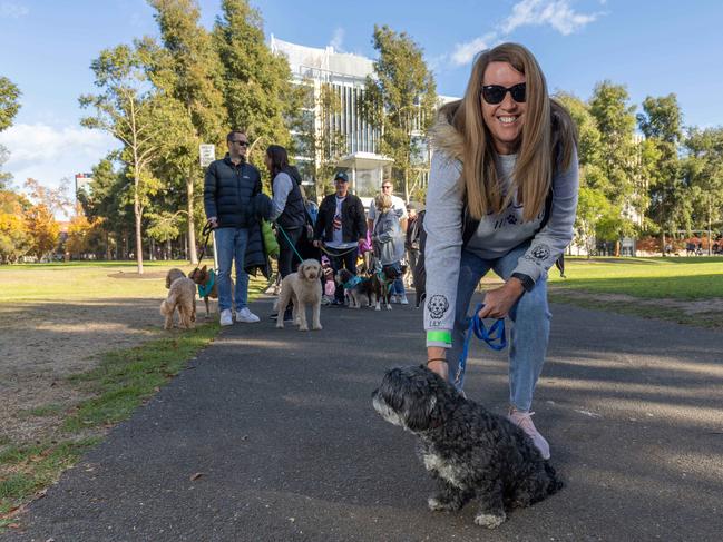 RSPCA SA's Million Paws Walk in Adelaide on May 25, 2025. Picture: Ben Clark