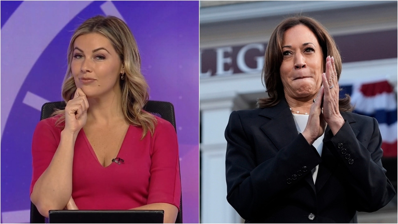 TV host slams Kamala Harris: ‘Americans don’t like what they see’