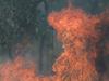 Warning as fire burns along highway