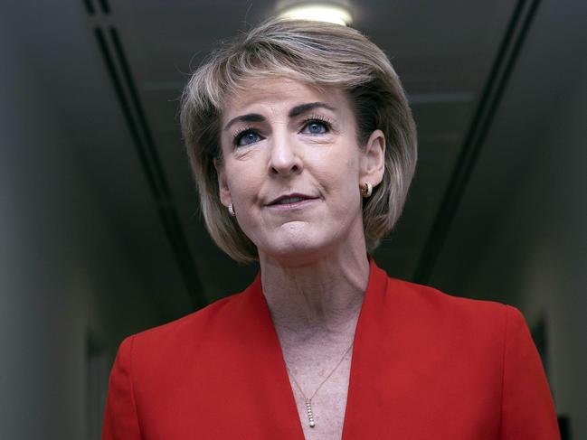 Senator Michaelia Cash in the press gallery at Parliament House in Canberra. Photo: Gary Ramage