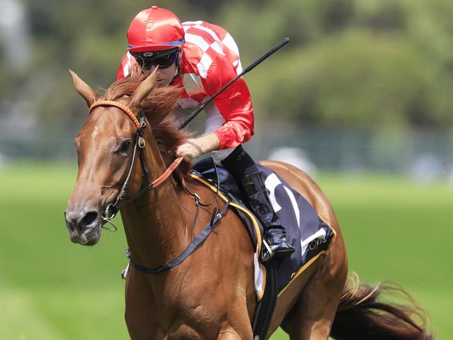 SYDNEY, AUSTRALIA - MARCH 12: Tommy Berry on She's Extreme wins race 2 the Cellarbrations Magic Night Stakes during Sydney Racing Chandon Ladies Day at Rosehill Gardens on March 12, 2022 in Sydney, Australia. (Photo by Mark Evans/Getty Images)