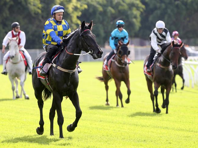 Conditions won’t be as pleasant as the first official trials on the new course proper at Eagle Farm last month. Picture: Jono Searle