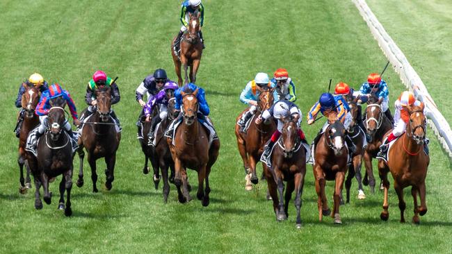 Vow and Declare wins a hectic Melbourne Cup finish. Picture Jay Town