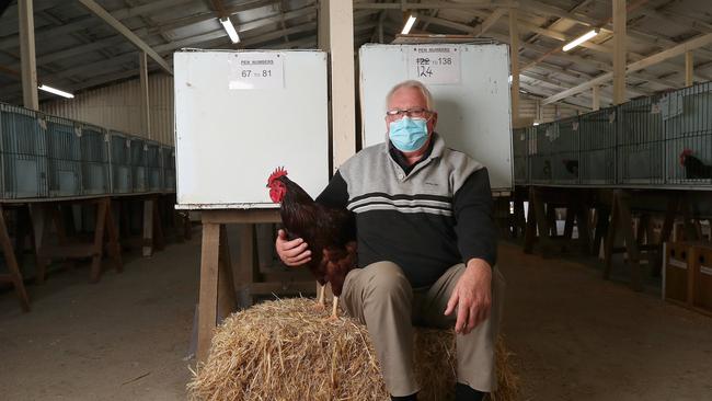 Poultry breeder Peter Moate of Brighton with his cockerel. Hobart Show 2021 day 1. Picture: Nikki Davis-Jones