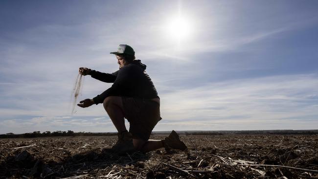 16,May, 2024: Daniel Marrett - crop farmer on his property at Peake. The dry weather is causing issues for supplies of feed and crops  Picture: Kelly Barnes