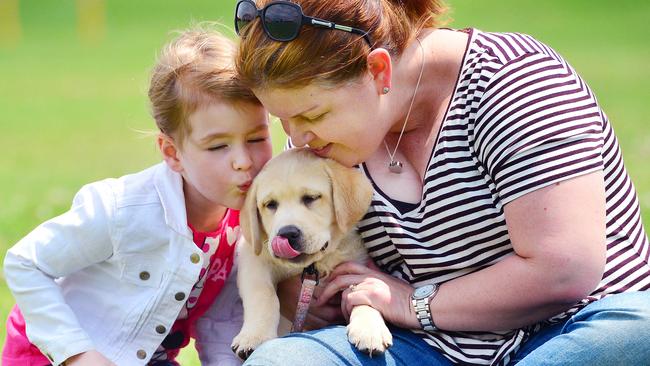 Bec Lee with daughter Paige, 5, love their 11-month-old labrador Maggie. Picture: Nicki Connolly