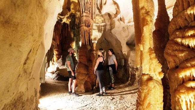 Tour the Princess Margaret Rose Caves at Lower Glenelg National Park.