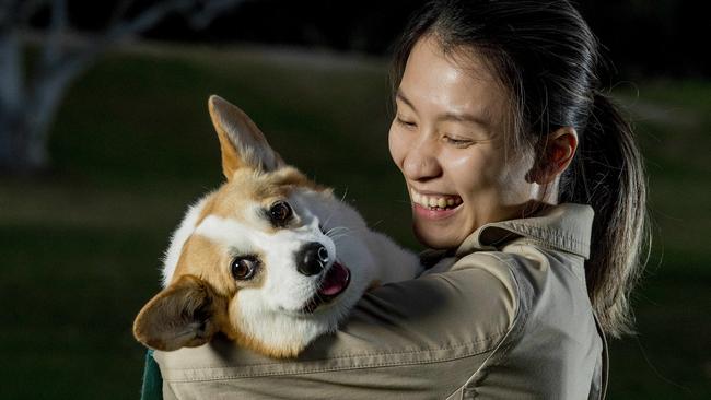 Haku the corgi has been returned home safe to owner Carmen Pham by pet theft investigator Kirilly Cull from Missing and Stolen Pets Australian Picture: Jerad Williams