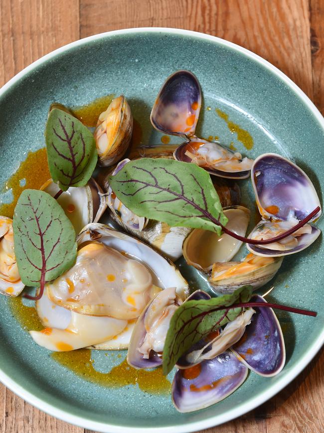 Clams, tomatillo, peperoncino and sorrel is one of the many dishes on offer. Picture: Josie Hayden