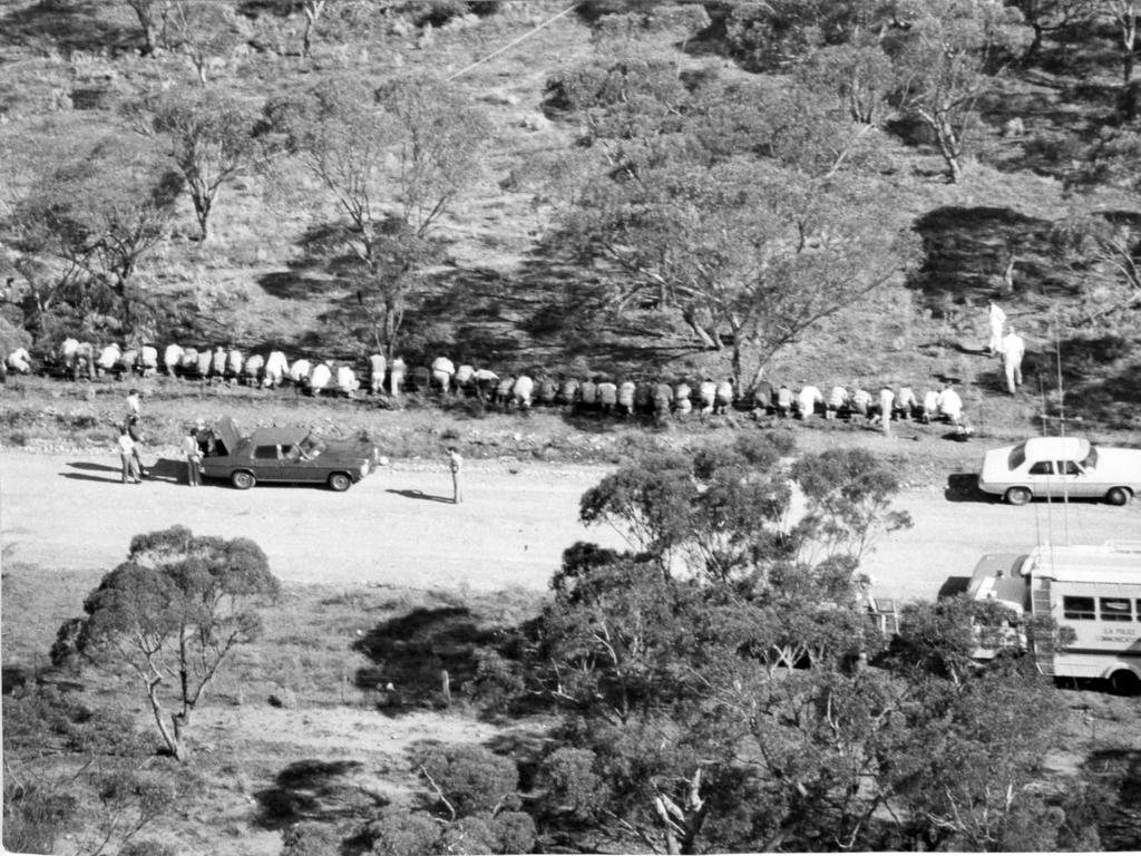 Police cadets making a hands-and-knees search of the area where the skeleton of a 15-year-old girl was found, April 27, 1979.