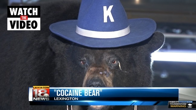 The bizarre true story of the Cocaine Bear (18 News)