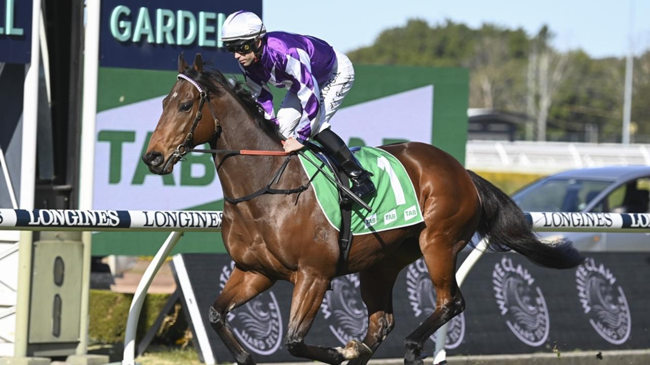 Ljungberg looks well placed to end a long run of outs at Taree. Picture: Bradley Photos