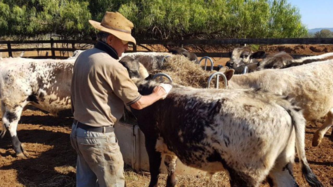 Alf and Rhonda King say the level of drought is unprecedented in the area. Picture: Supplied to Yahoo7