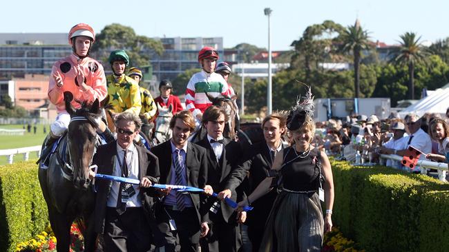 Neil Werrett leads Black Caviar back to scale.