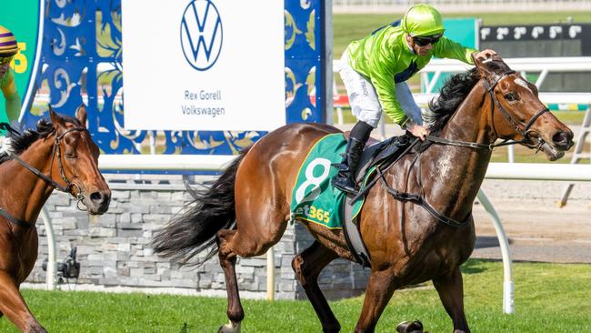 Tralee Rose passes the post to win the Geelong Cup. Picture: Getty Images