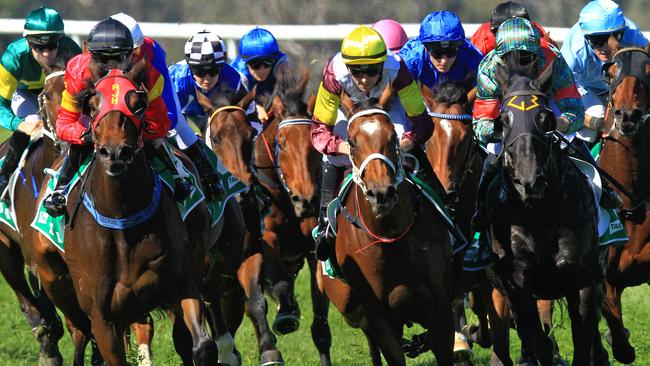 Racing in New South Wales on Friday is at Tamworth for their feature Cup meeting.