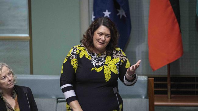 Committee chair Meryl Swanson in the House of Representatives in Parliament House in Canberra. Picture: Gary Ramage