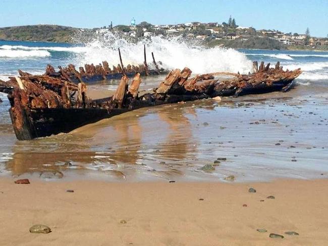 INSPIRING PHOTOGRAPHERS: Buster is a much-loved icon at Woolgoolga. Picture: James Robert Thorn